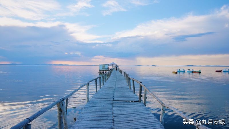 去达里湖看华子鱼洄游,达里诺尔湖华子鱼洄游在哪里