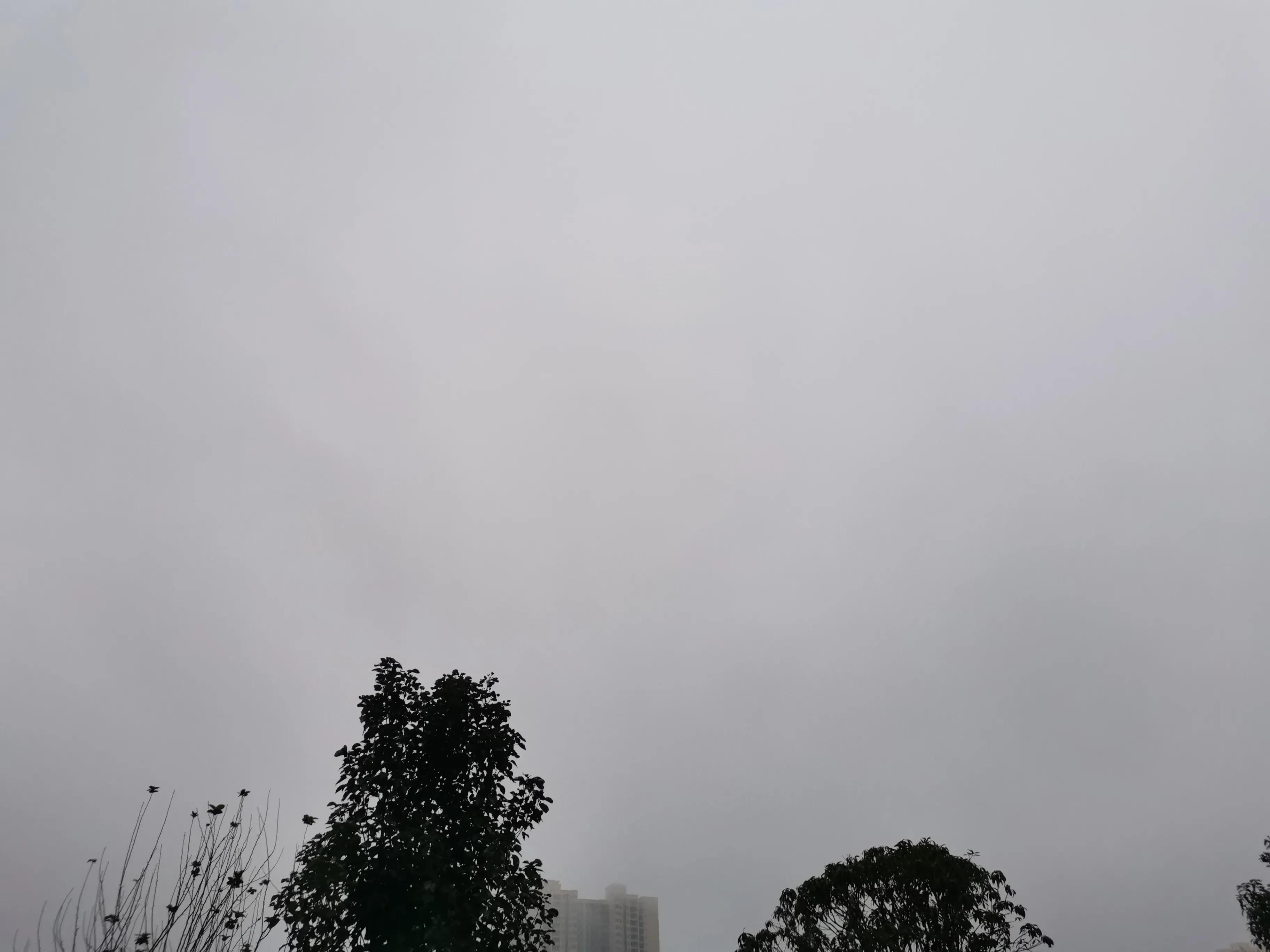 吹在旷野的风图片,吹旷野的风下一句