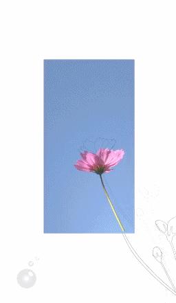 微信美颜怎么关8.40版本,你不知道的微信