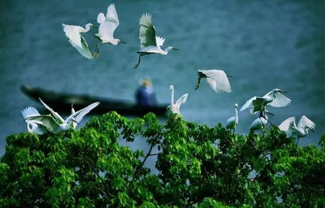 中国十佳旅游口号标语,地市旅游口号大全霸气十足