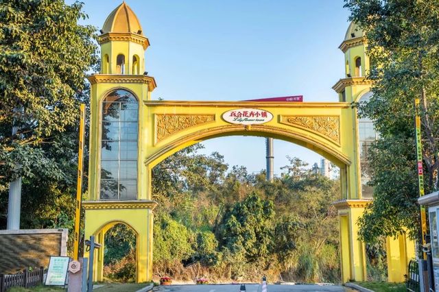 深圳花店有什么花,深圳龙华花店订花送花