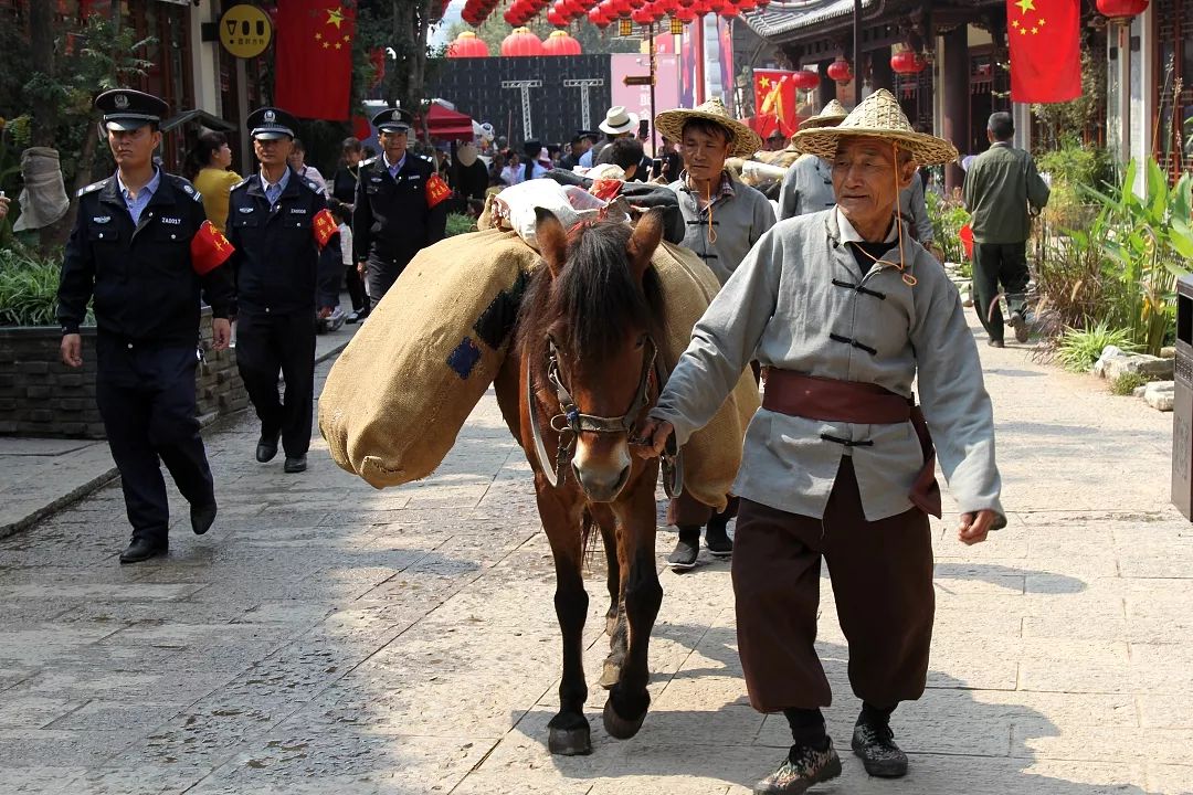以文为神,以旅化形,金山古镇亮相禄丰,打造云南文旅融合新范本