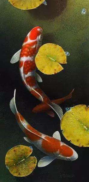 转运锦鲤简笔画,简笔画100种锦鲤图片