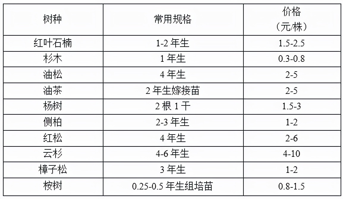 苗木市场前景预测2017,2023年下半年苗木价格报告