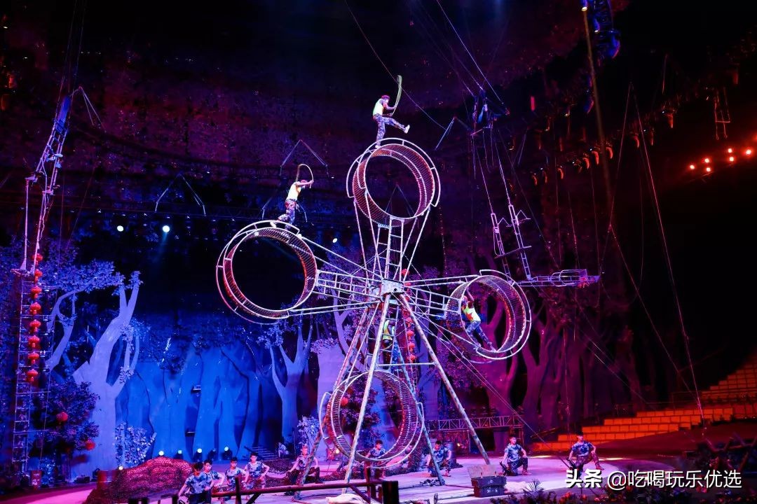 厦门灵玲动物王国大熊猫,厦门马戏团灵玲动物王国观光游览