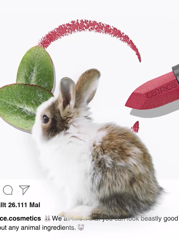 十大国货良心口红,十大公认最好口红国产