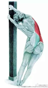 久坐腰痛大腿外侧疼的缓解方法,久坐腰痛的缓解方法微创手术