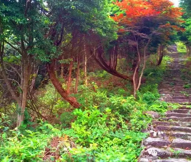 温州四海尖上观日出,初阳如血,美轮美奂,绝无仅有