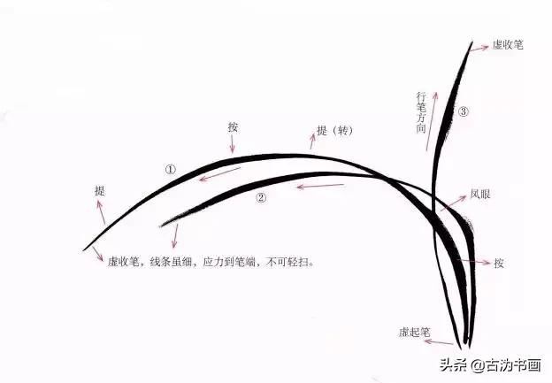 国画兰花技法讲解视频,徐湛国画兰花技法教学