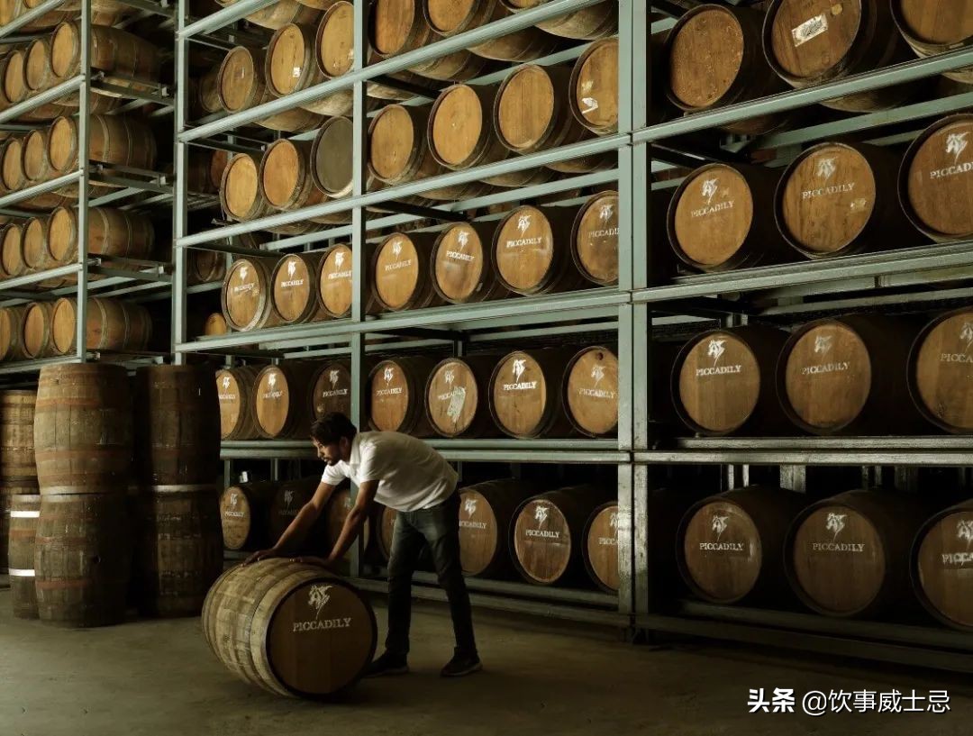 酒厂中的“伯乐”,是如何判断陈年橡木桶潜力的呢?
