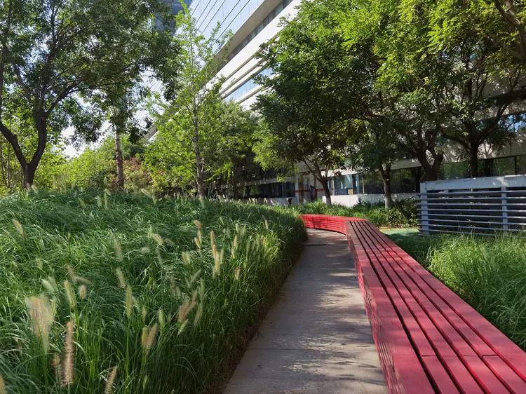 京东总部上班需要什么条件,京东总部上班体验