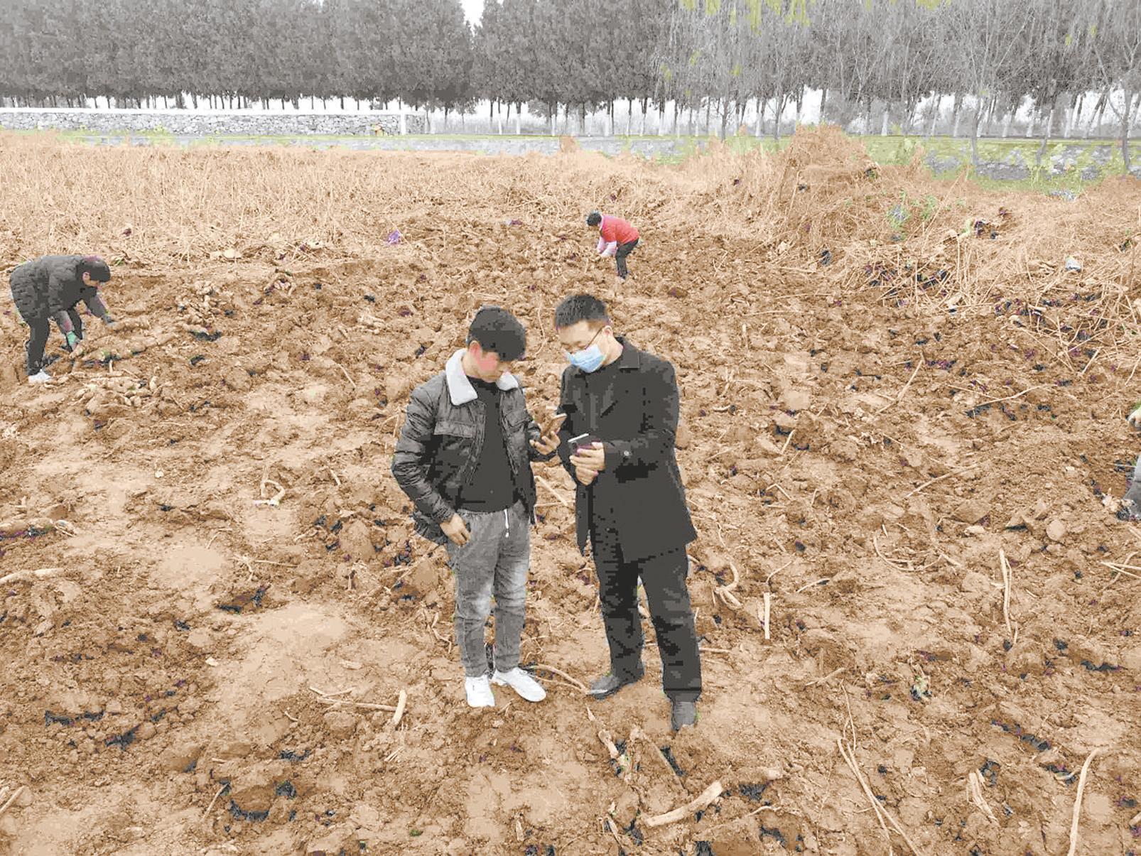 王安石看似寻常最奇崛写于哪年,看似寻常最奇崛成易却艰辛啥意思