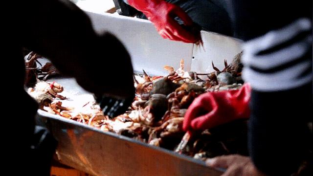 上海到福建自驾游旅游攻略,福建旅游攻略自驾游景点