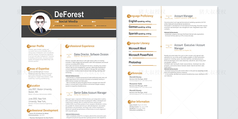 700套高端简历模板,2000套简历模板进来自取