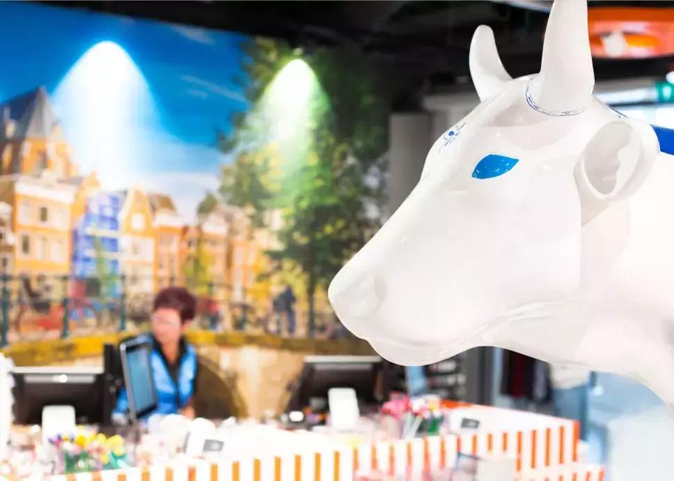 鏈哄満鍗佷簩鏃惰景,瑗垮畨鏈哄満鍗佷簩鏃惰景