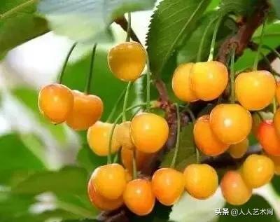 诸城简介,诸城是什么样的图片