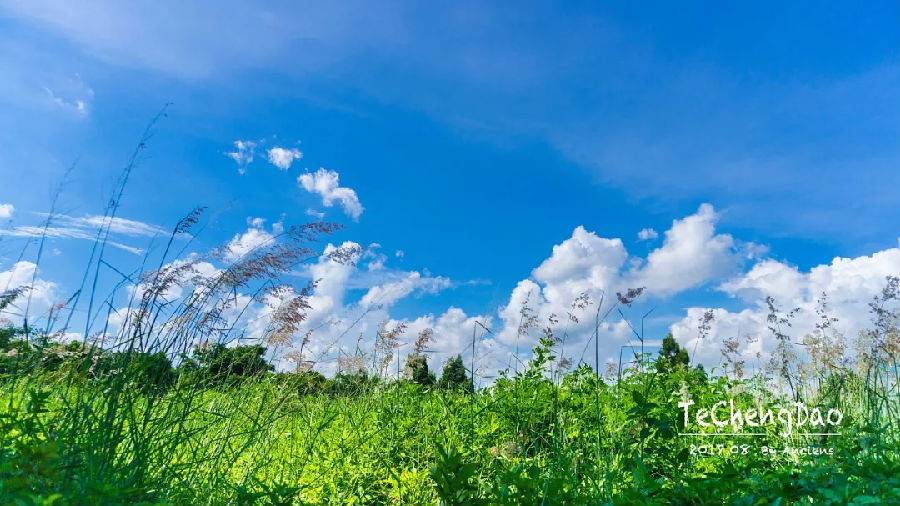 去湛江住特呈岛好还是住金沙湾好,今天湛江特呈岛风景区值得去吗