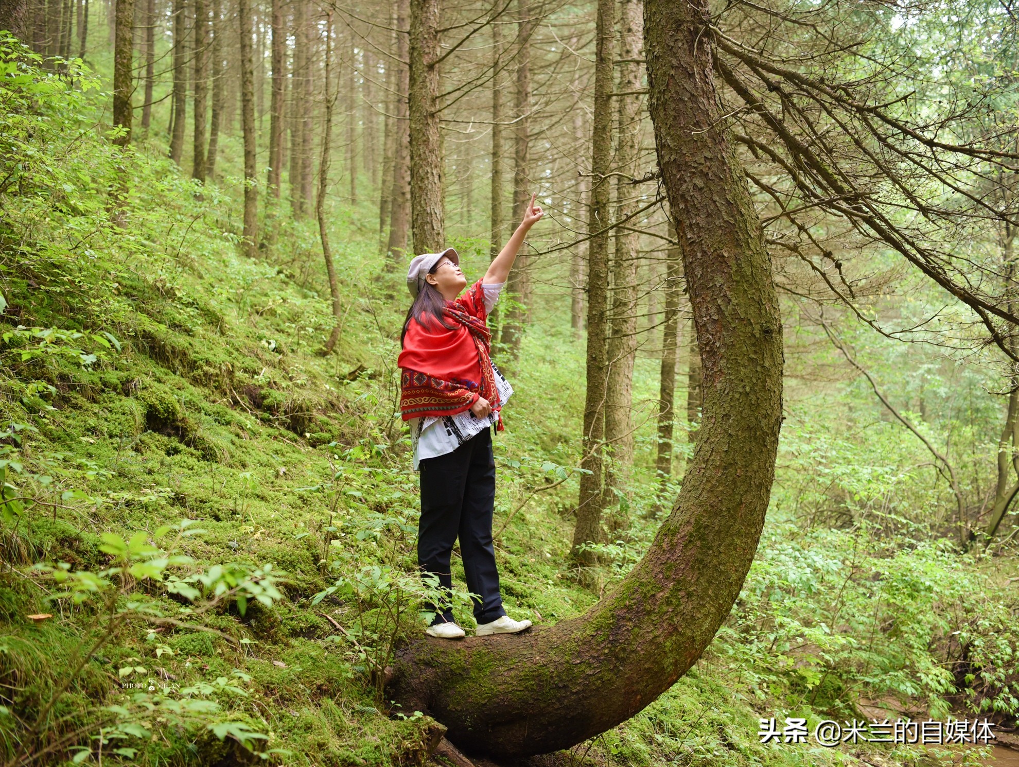 北京周边二日自驾游最佳路线图,北京周边自驾游两天一夜攻略草原
