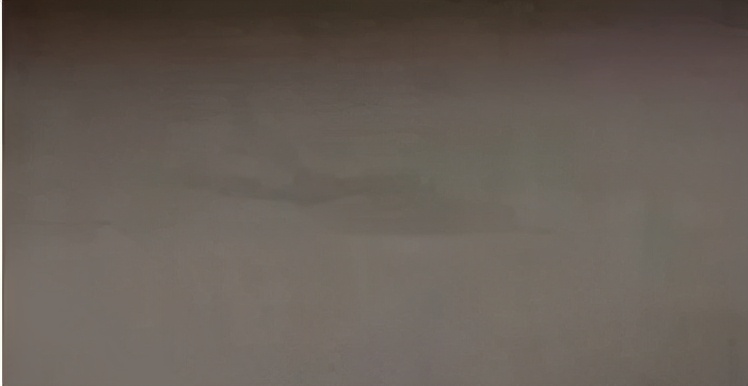 这些都是染色疵病，有图有真相