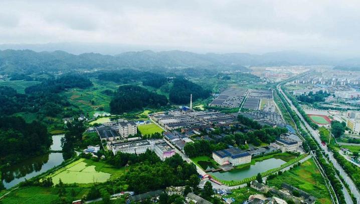 半年度业绩,金沙酒业业绩