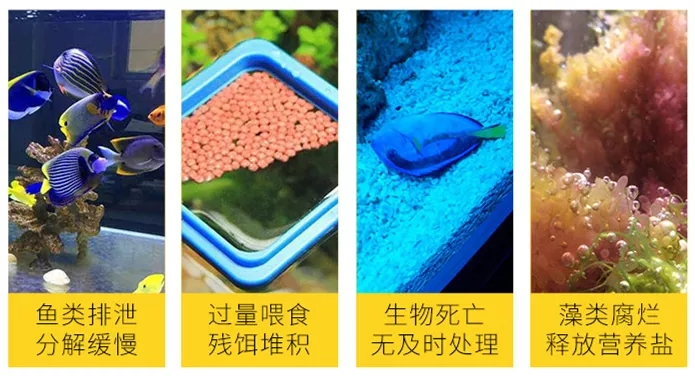 一篇文章带你初步了解,一篇文章弄懂hashmap底层