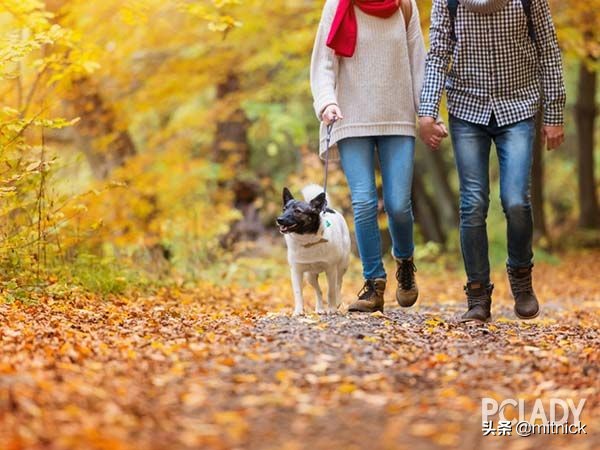 10-15岁男孩礼物推荐生日礼物,30-40岁女人生日礼物实用礼物排行