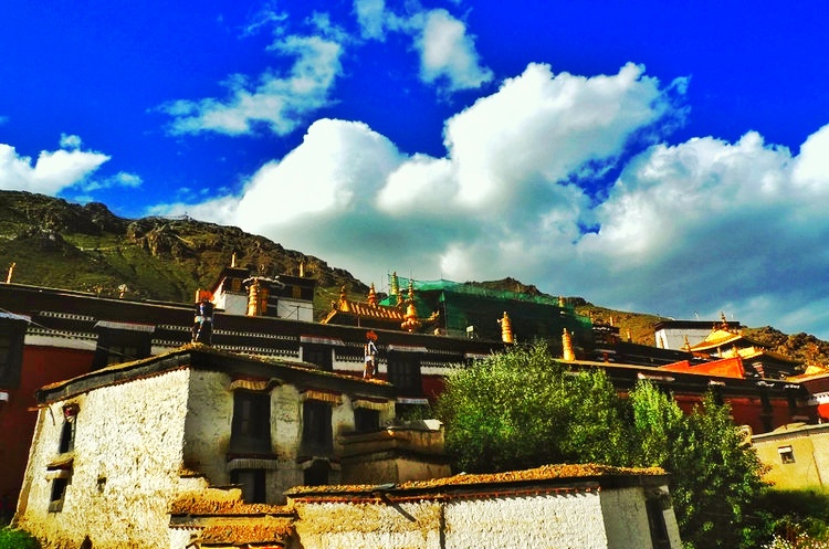 藏区遍地乱要钱？其实助人为乐更多，扎什伦布寺常做善事