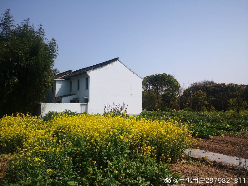 上海浦江附近好玩的地方,上海浦江镇最繁华的地方