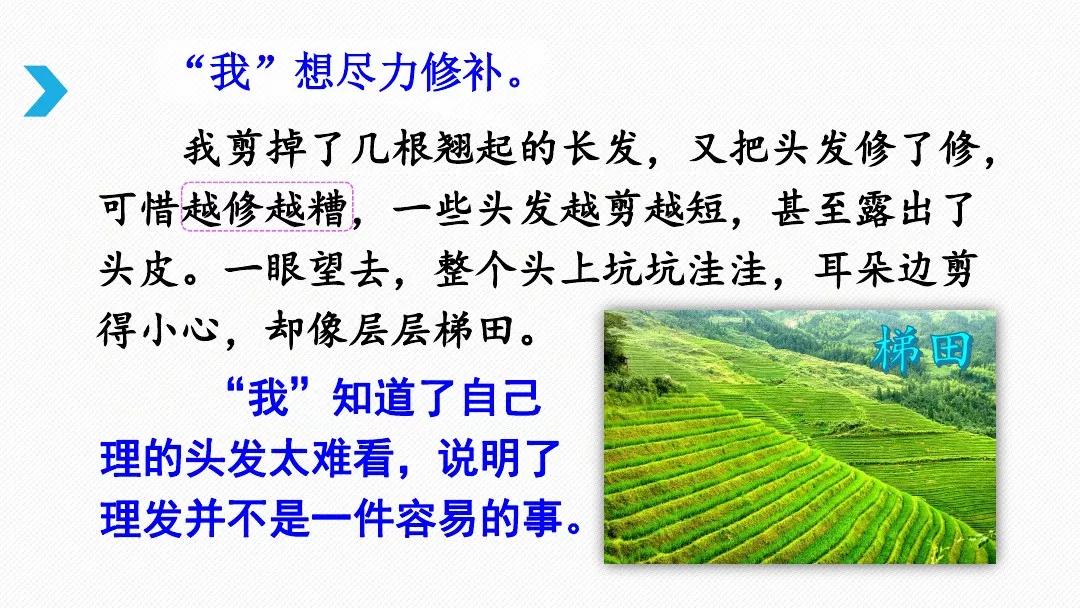 三年级下册剃头大师阅读题及答案,三年级下册语文第19课剃头大师