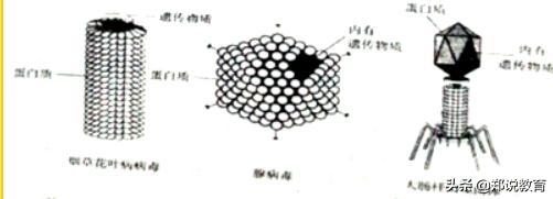 人教版八年级上册生物预习提纲,八年级下册生物预习笔记