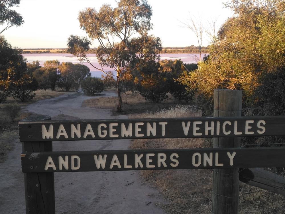 墨尔本阿德莱德周边-粉湖（LochLel）找回遗落的少女心