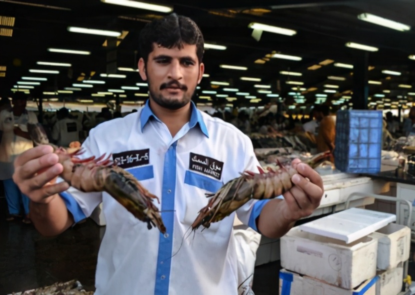 在迪拜生活一年需要多少人民币,在迪拜生活一天需要多少人民币