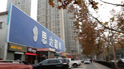 猫主子驾到,猫咪主子驾到