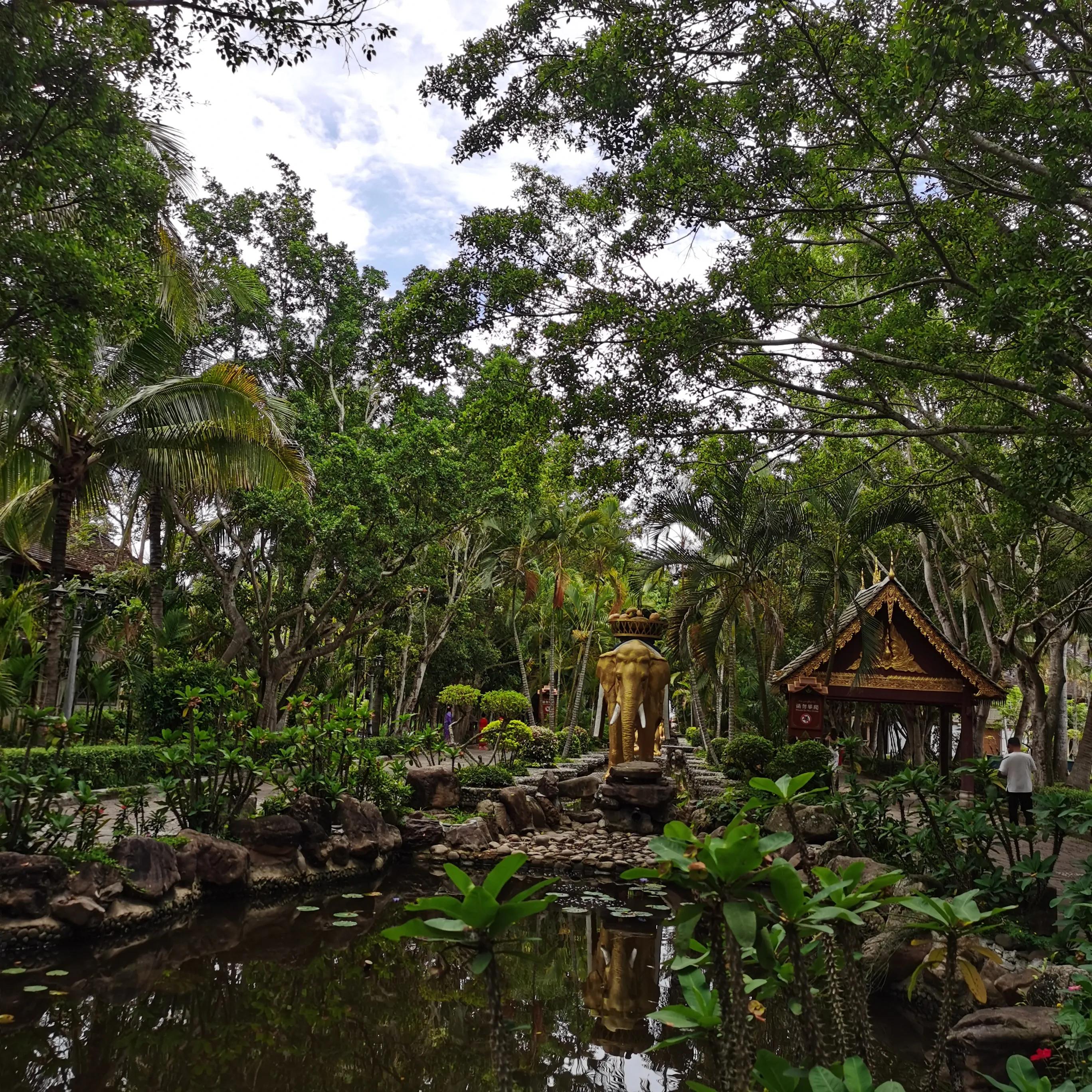 西双版纳曼远村游,西双版纳自由行一天攻略傣族园