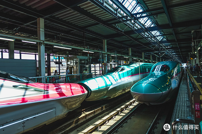 超级震撼的夏日风景,夏季日本旅游15天攻略