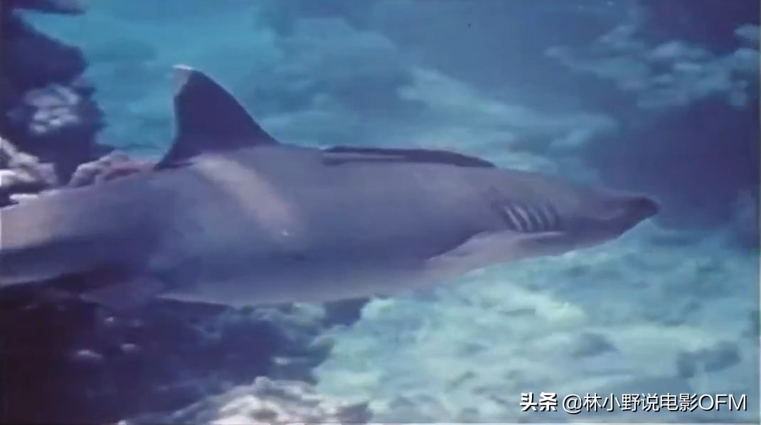 潜伏站长太太提到的哪些人,潜伏站长电影片段