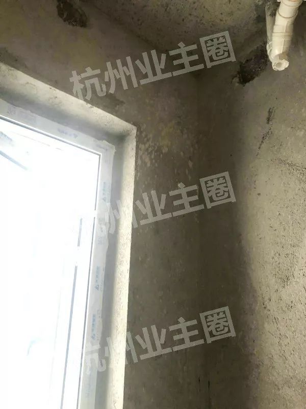 绿都什么意思,绿都包括哪些绿