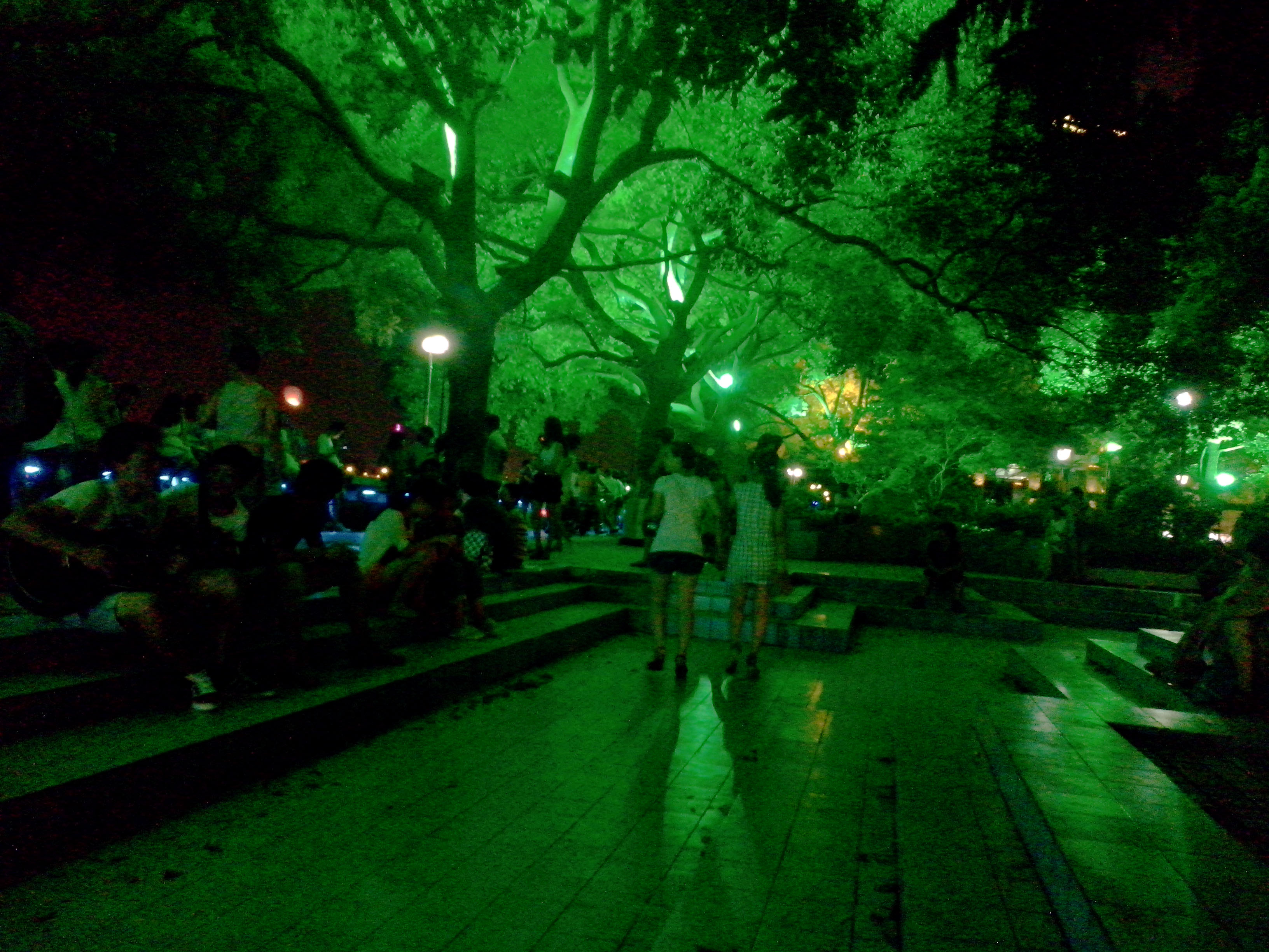 香樟往事电子版,香樟往事