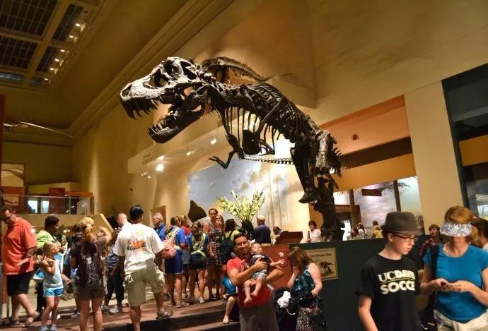 世界十大博物馆埃及博物馆,世界十大博物馆失窃案视频