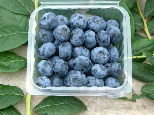 种3500株亩产7吨不愁销路,种什么亩产利润上万