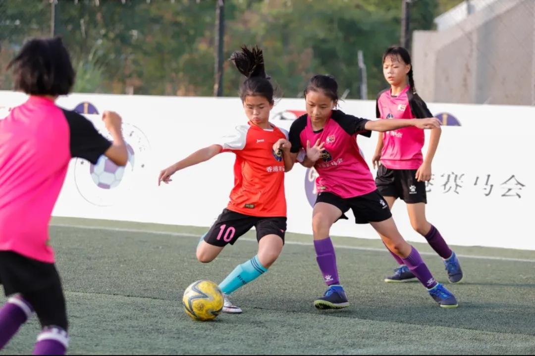 体育社会组织管理,体育社会组织