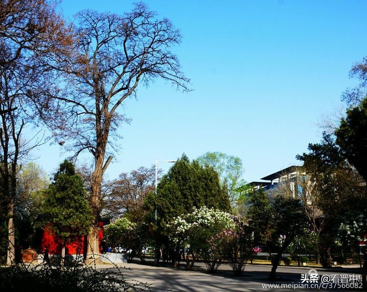 山西农大美丽的校园,山西农大校园风光