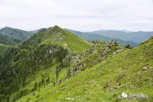 探秘汉中,汉中一村子窜入野生羚牛