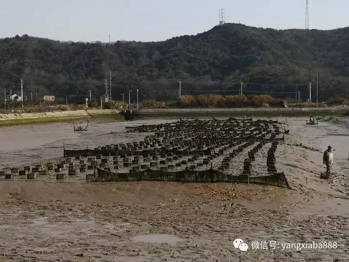 黑科技暴利生意,黑科技挣钱几万元