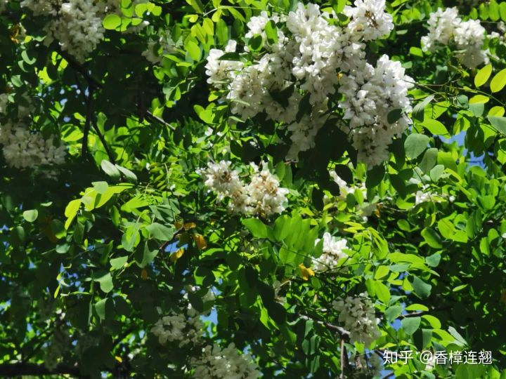 在大连的感受和生活,在大连生活怎么样