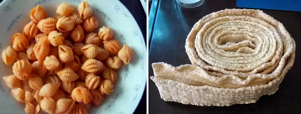 高粱全世界都有吗,各种高粱的认识