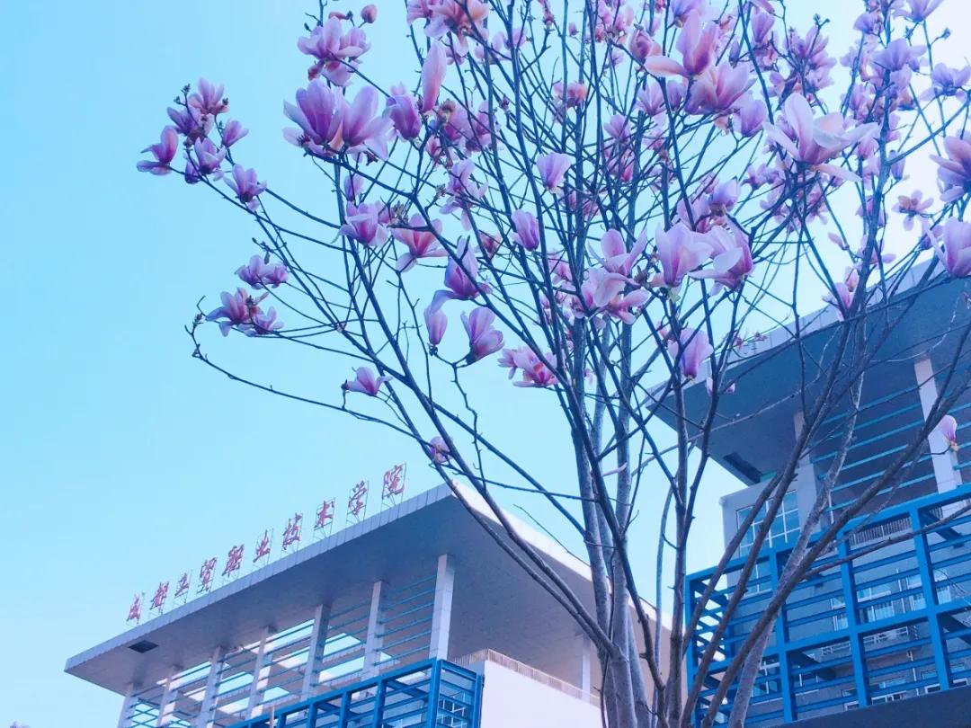 成都工贸职业技术学院两个校区,成都工业学院产教融合