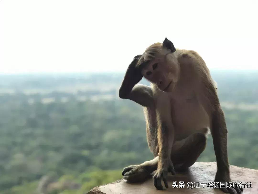 看世界从容过生活,看世界兰州