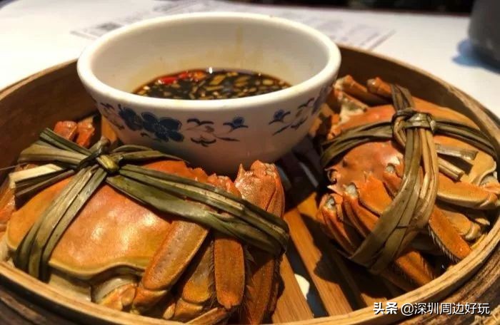 深圳地铁三号线沿途美景与美食,深圳9号线哪个地铁站有美食
