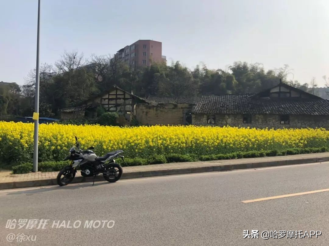 宝马g310r和g310gs的区别,宝马g310rr跟宝马g310gs的区别